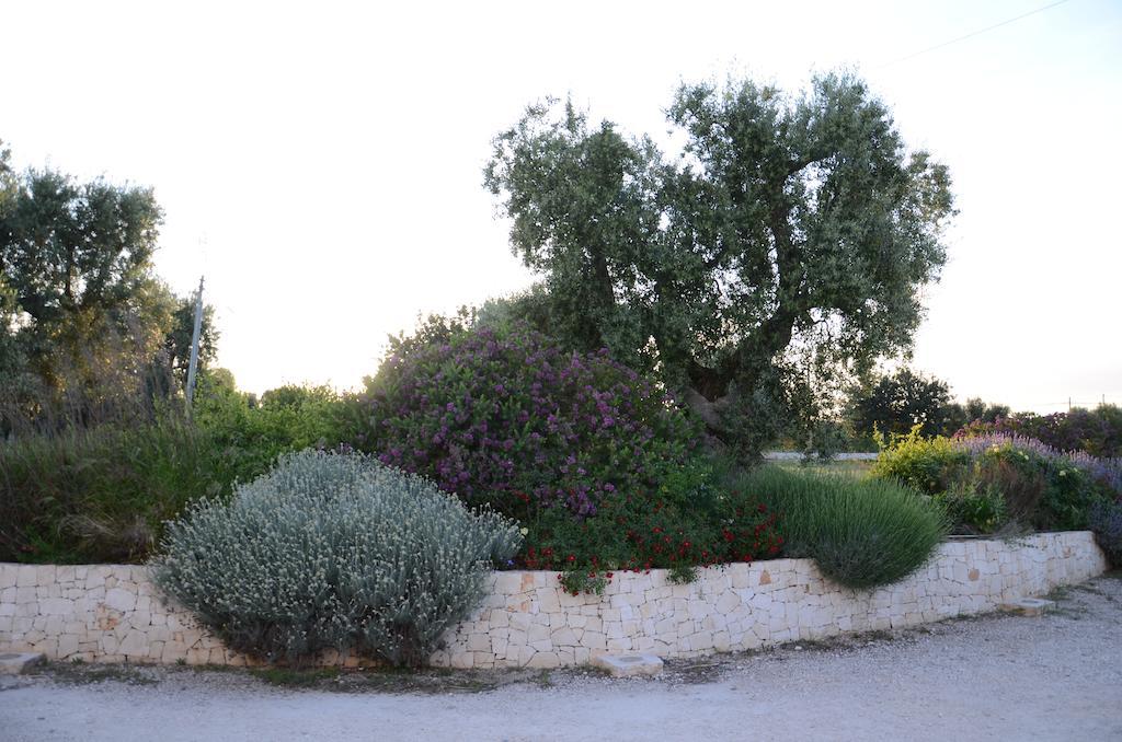 Agriturismo Tenuta Chianchizza 모노폴리 외부 사진